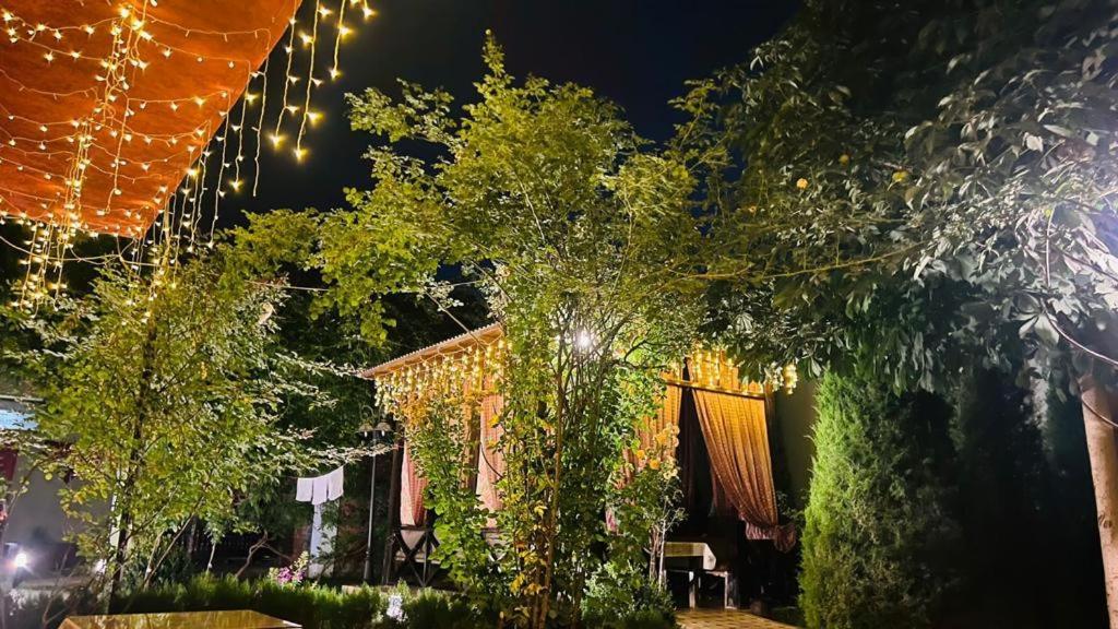 Green House Eco Hotel Szamarkand Kültér fotó